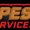 BPest Services