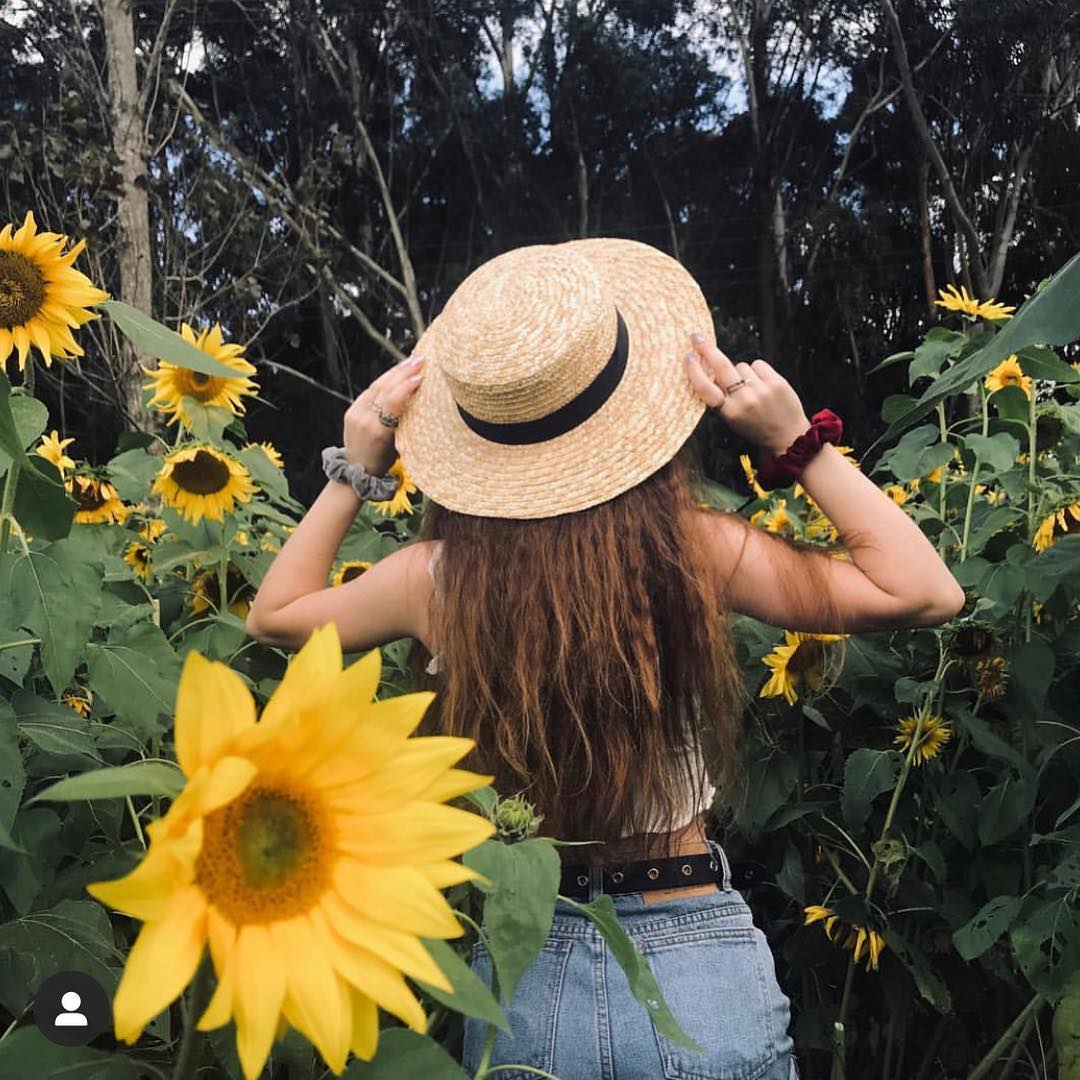 Pick Your Own Sunflowers in Wyong