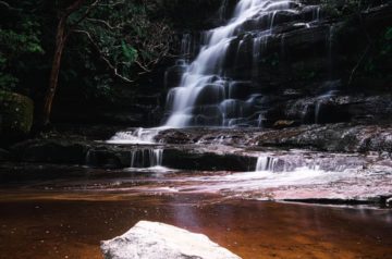 Somersby Falls, the Central Coast Gem for Nature-Lovers