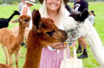 Breakfast with Alpacas at This Jilliby Farm