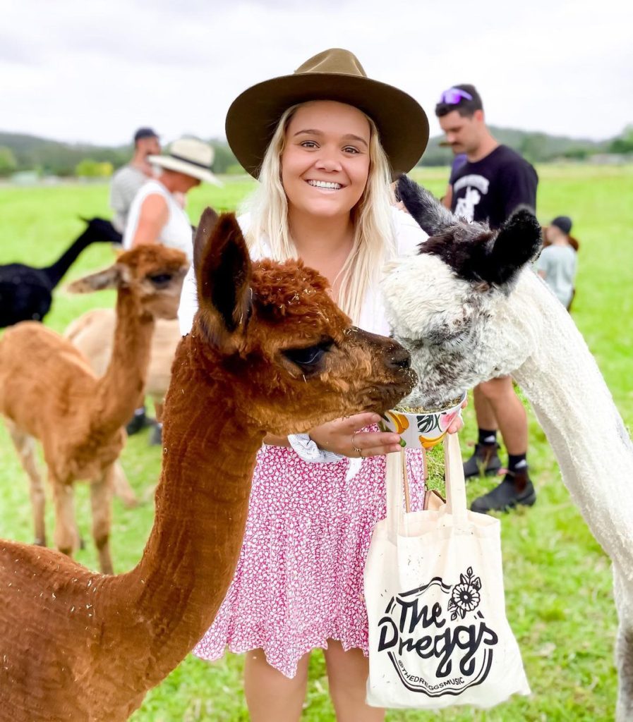 Things to do on Central Coast breakfast with alpacas