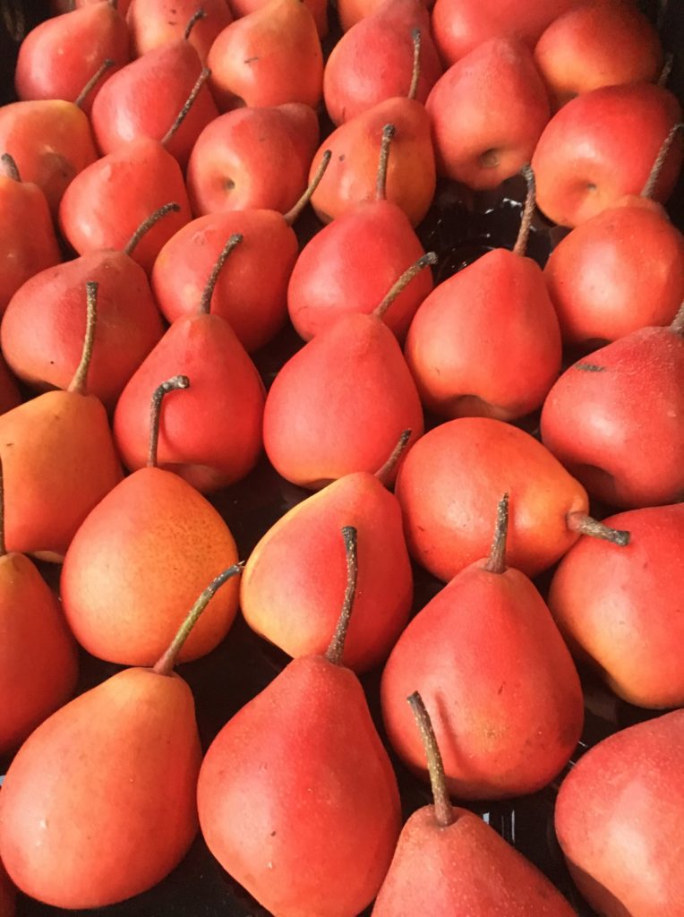 Farmers Market Central Coast