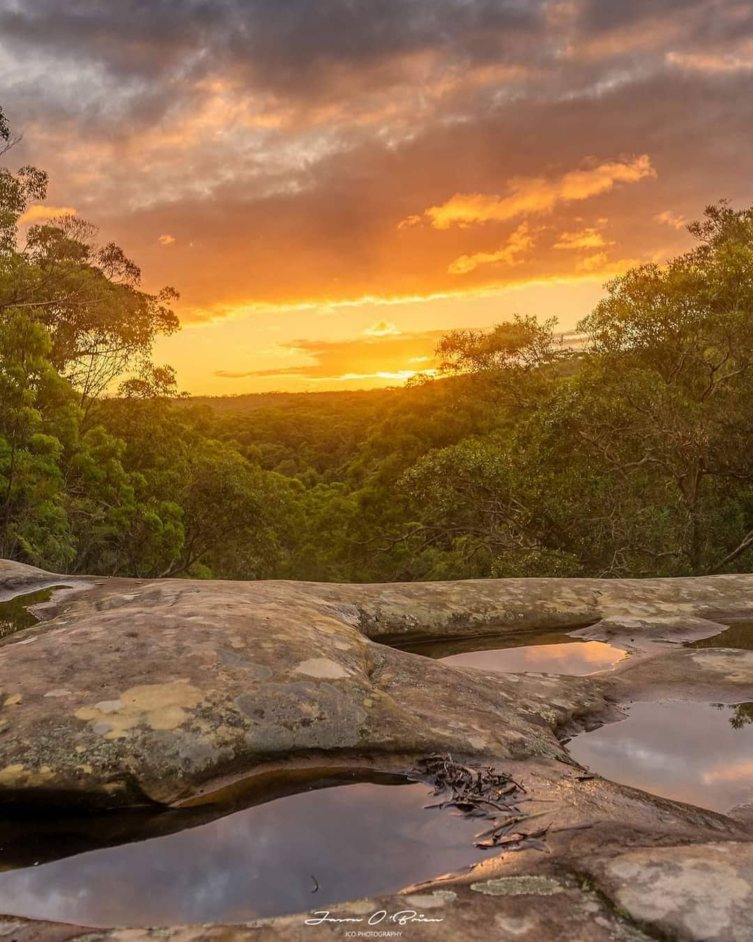 How To Get To Somersby Falls, Central Coast NSW 