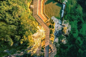 Central Coast Walks: Terrigal Boardwalk