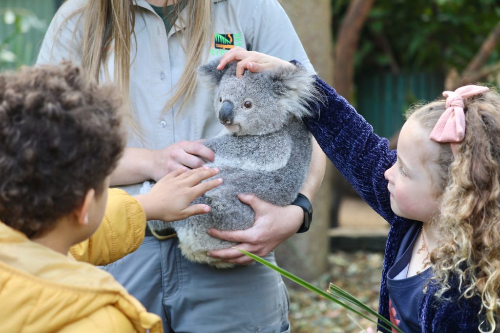 Reptile Park Central Coast