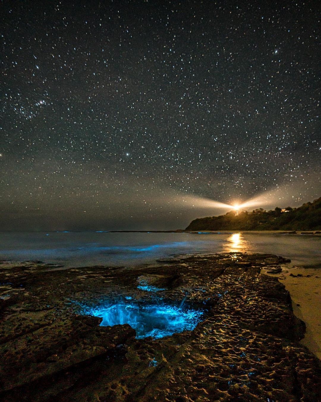 Central Coast Beaches Glowing with Bioluminescence Right Now - Coasties ...