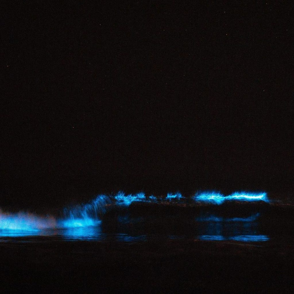 glowing beaches