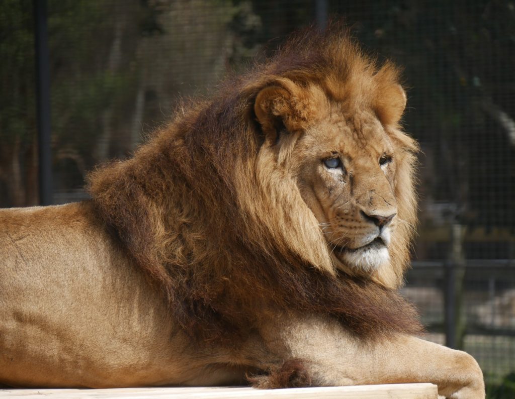 Central Coast Zoo