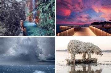 Top 10 Most Liked Photos of the Central Coast in 2021