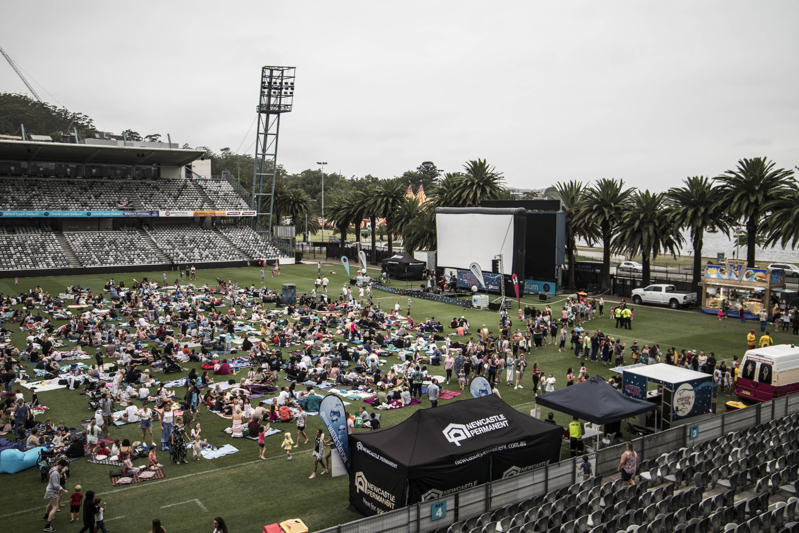 Cinema Under the Stars