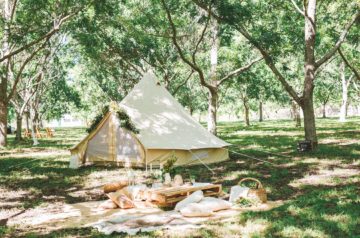 You Can Now Glamp on a Pecan Farm in Somersby