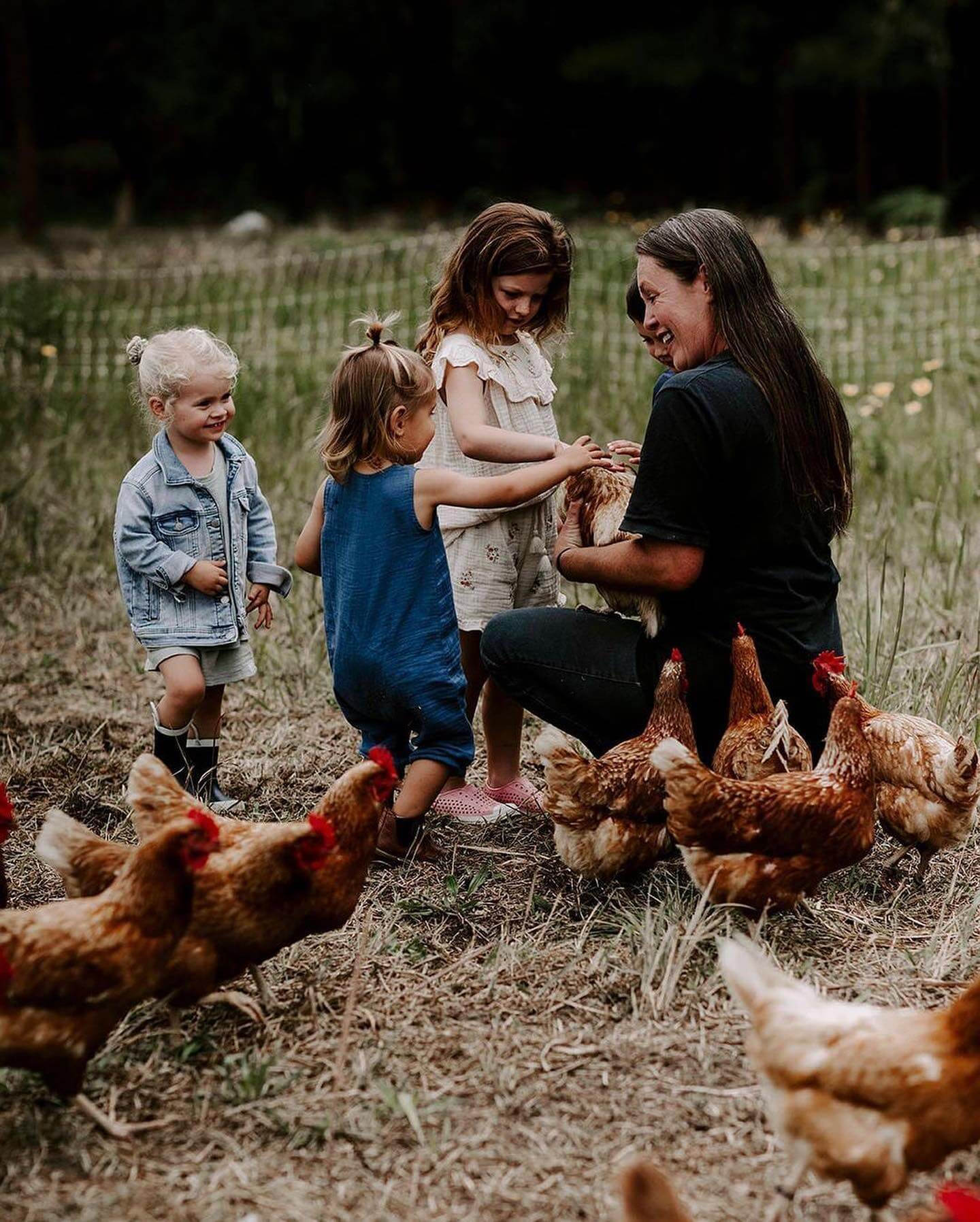 Grace Springs Farm Tour