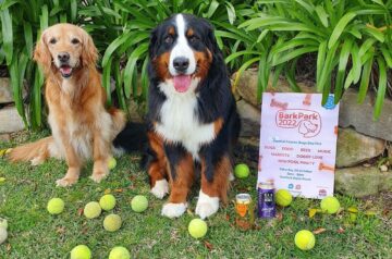 Bark Park 2022 – Central Coast’s Coolest Doggy Day Out