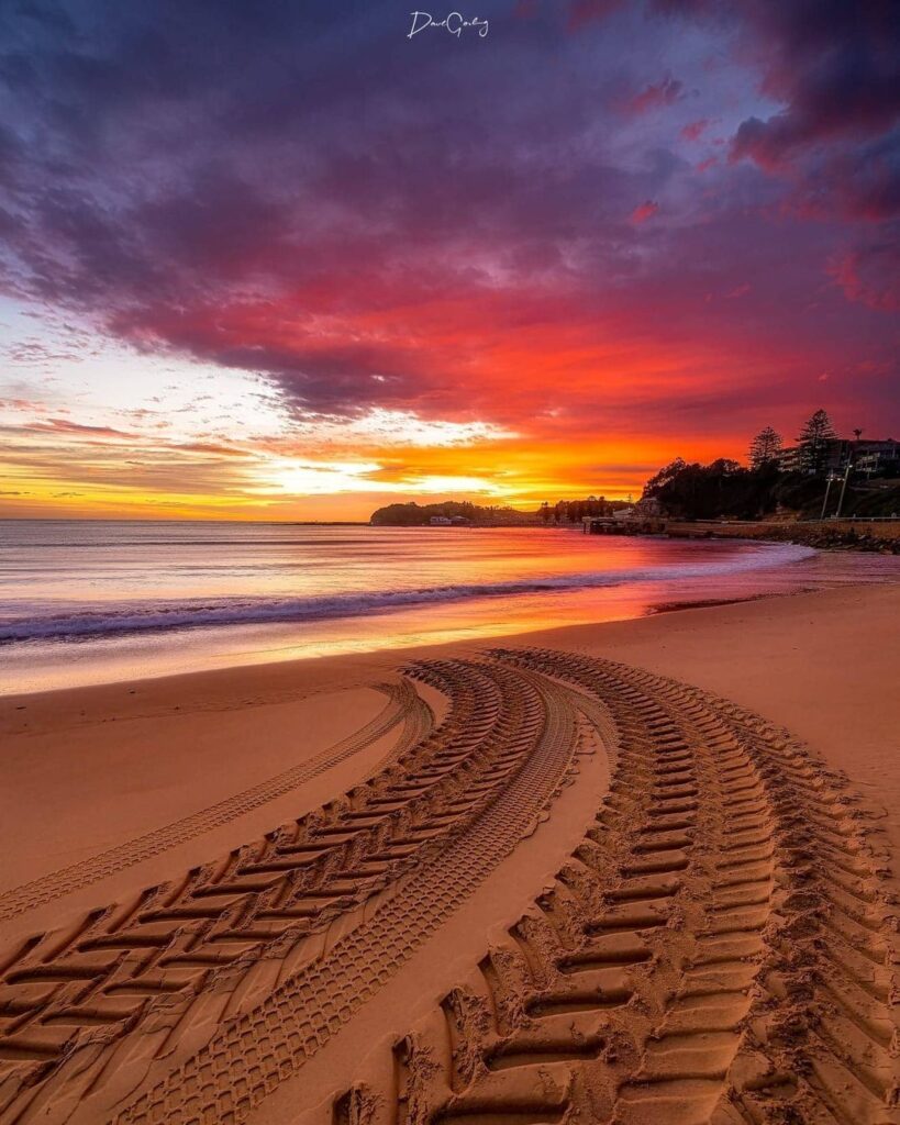 Terrigal Central Coast 