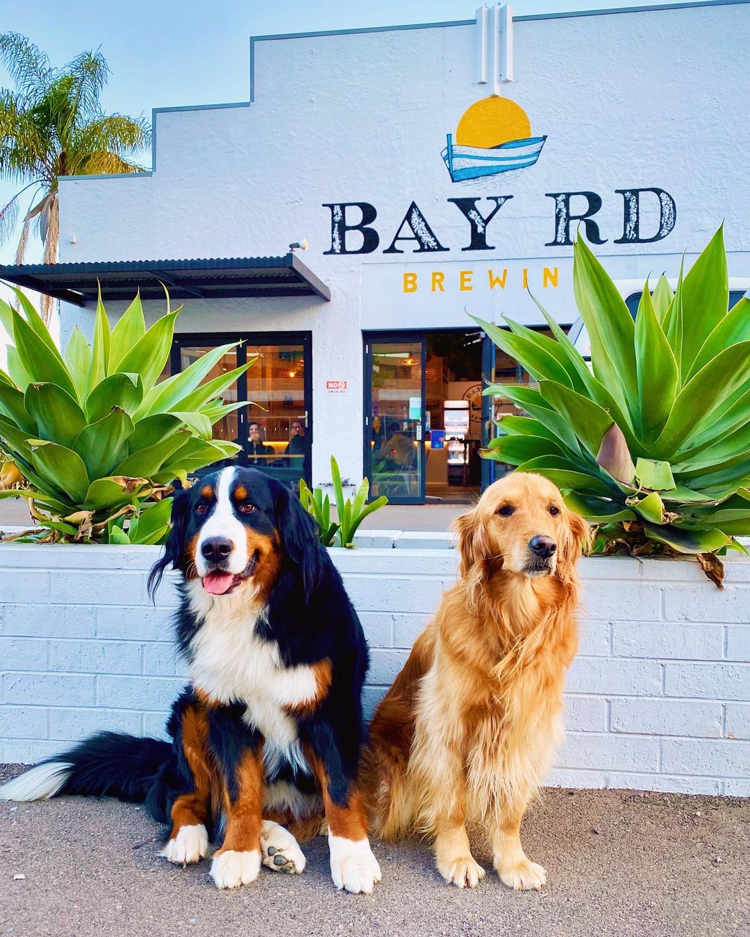 10 DogFriendly Cafes on the Central Coast Coasties Mag