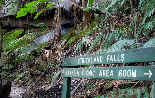 strickland running and walking tracks