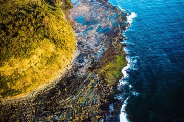 Central Coast Whale Watching Spot Crackneck Lookout’s Upgrade is Complete