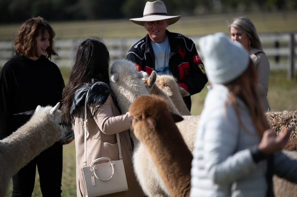 Iris Lodge, ECO tourism Central Coast