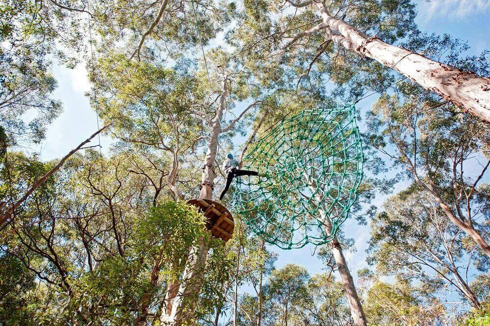 Treetops Adventure, Central Coast, ECO Tourism