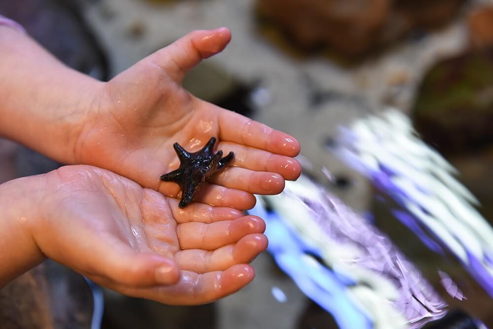 Marine Discovery Centre, Central Coast, Eco Tourism 