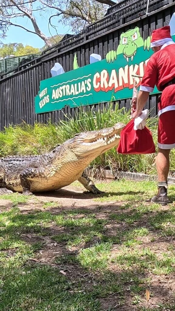 Australian Reptile Park 