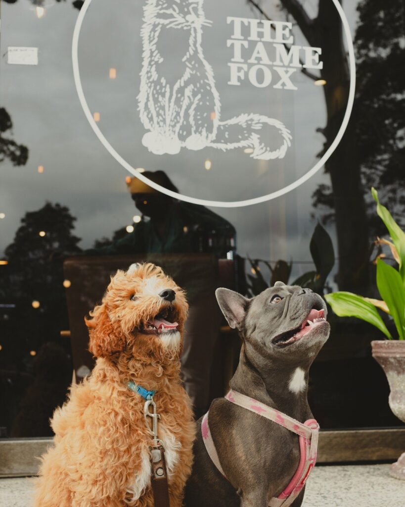 dog friendly cafe erina