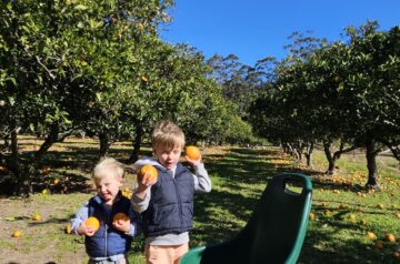 You Can Go Orange Picking at This Central Coast Farm