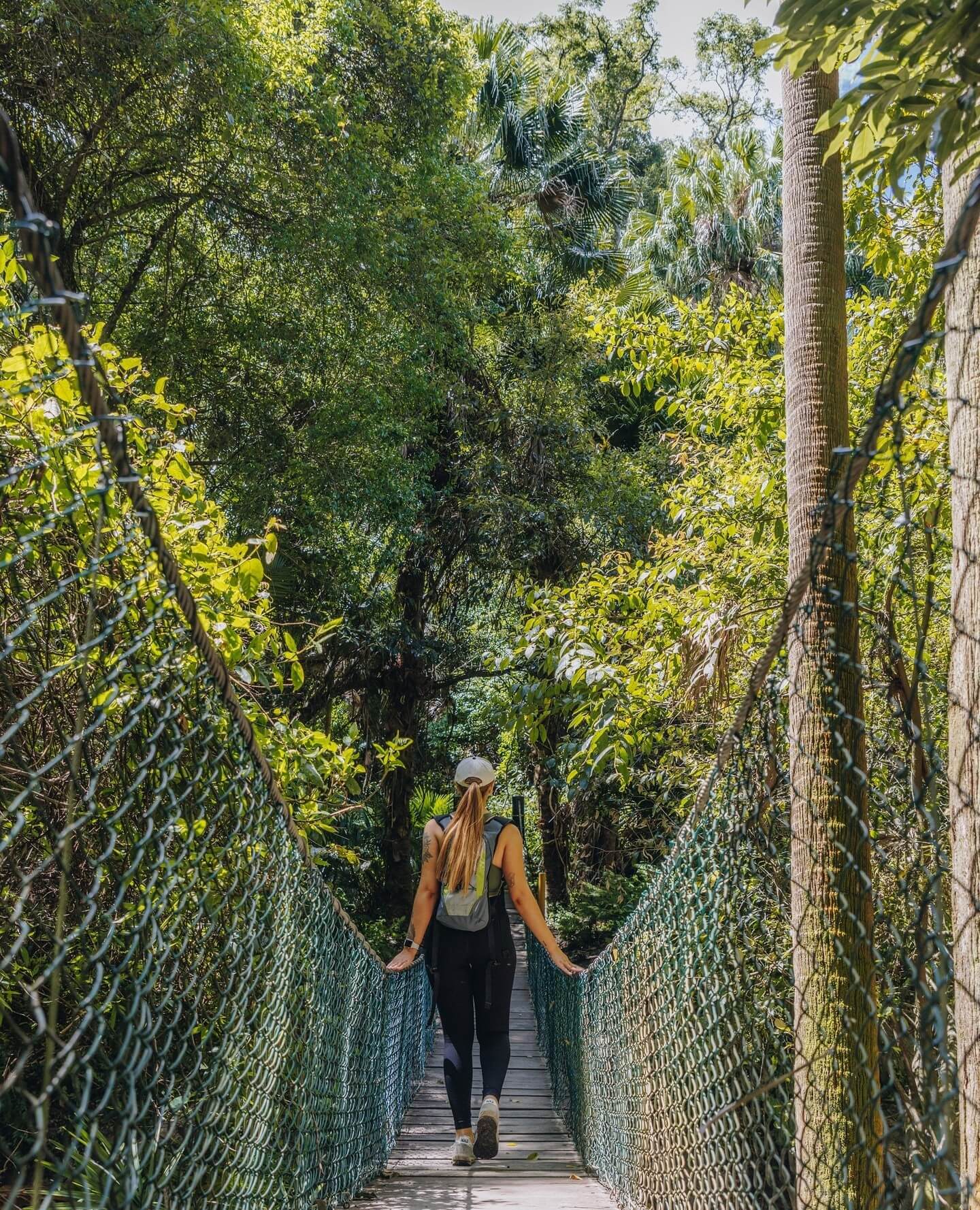 Dog-friendly Central Coast walks