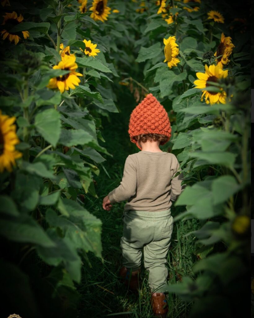 Pick your own sunflowers