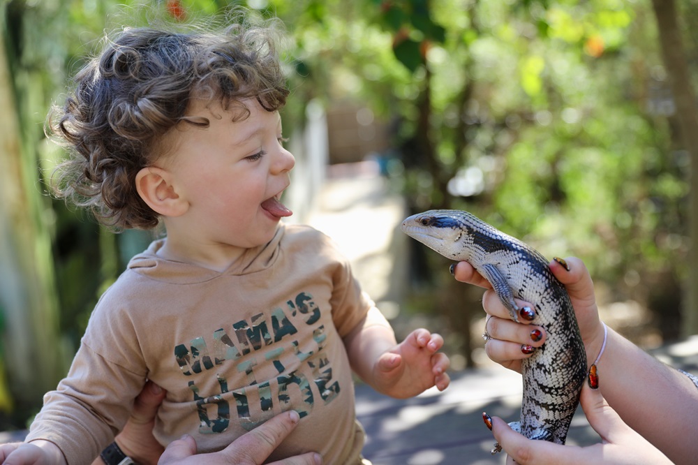 Australian Reptile Park schoool holiday activities