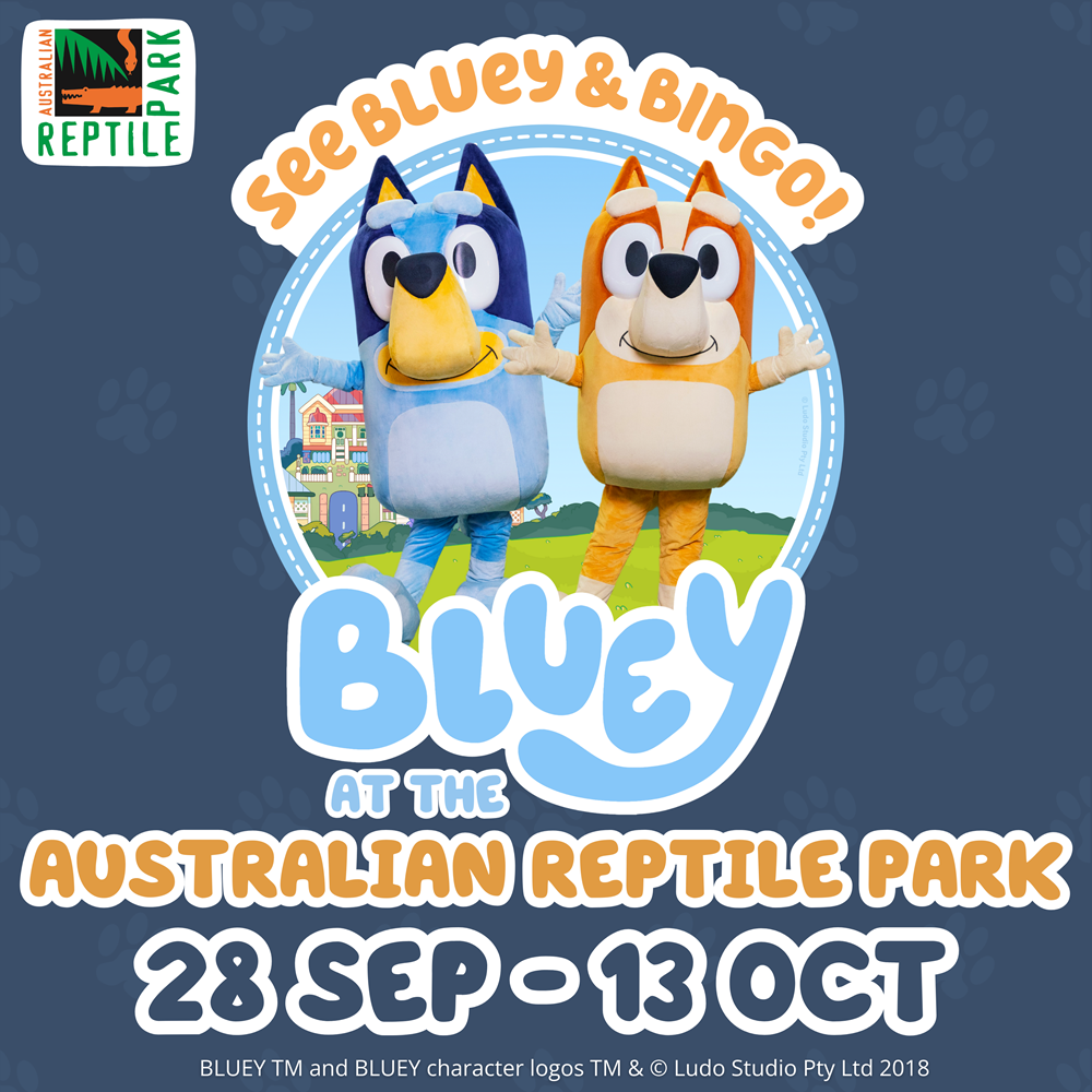 Bluey x australian reptile park central coast school holidays