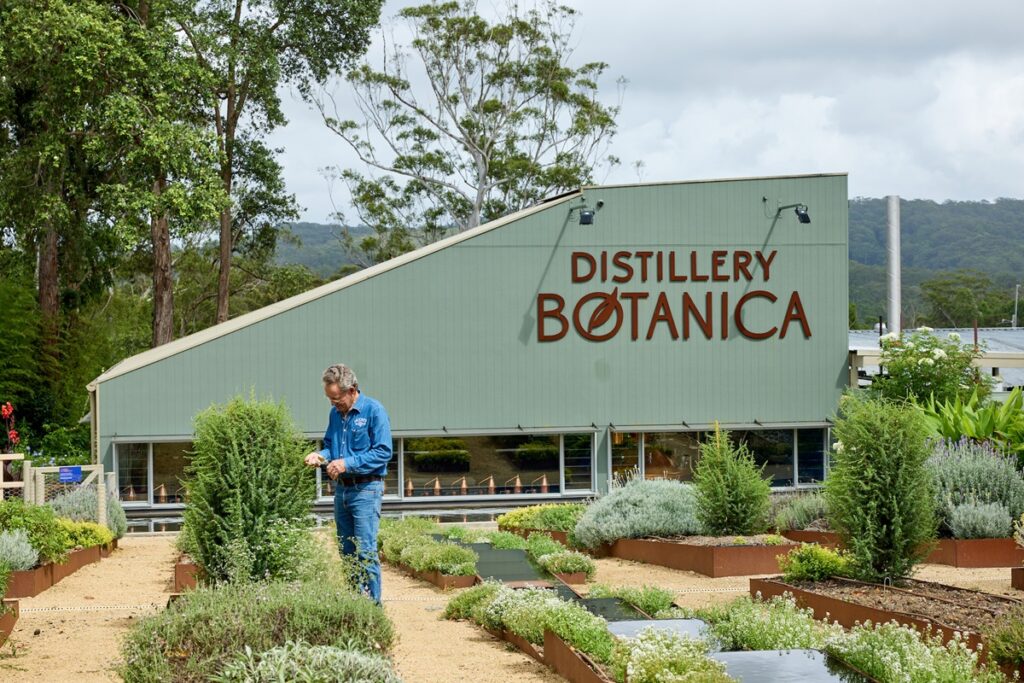 Distillery botanica