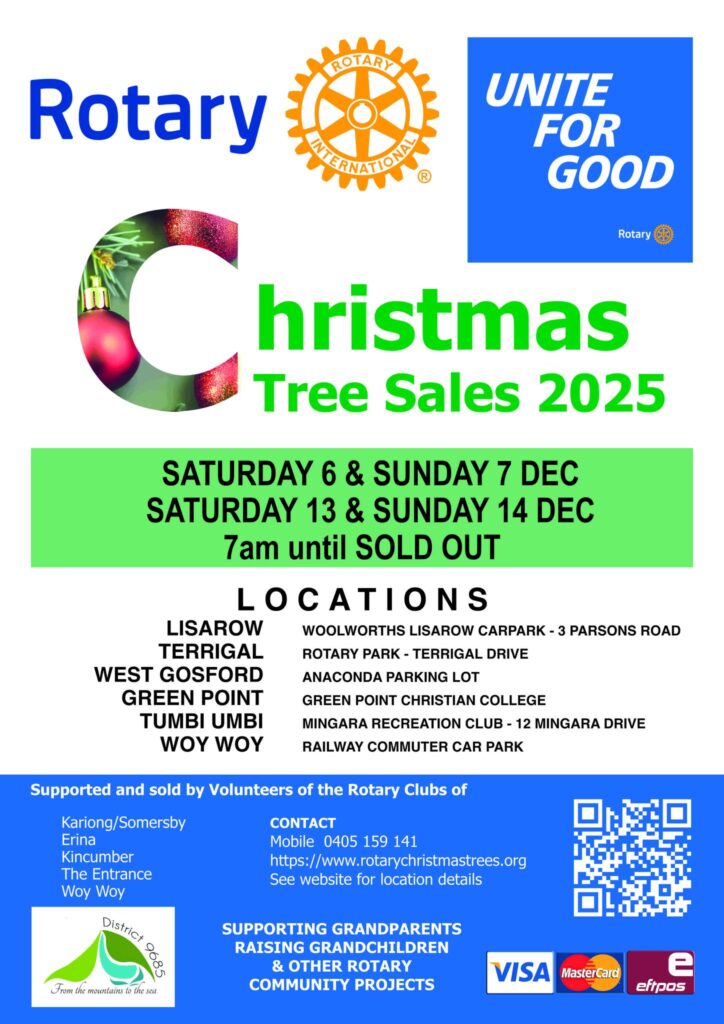 Real Pine Christmas Trees Central Coast Rotary