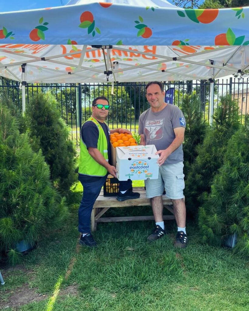 Where to buy Christmas trees on the Central Coast 2025