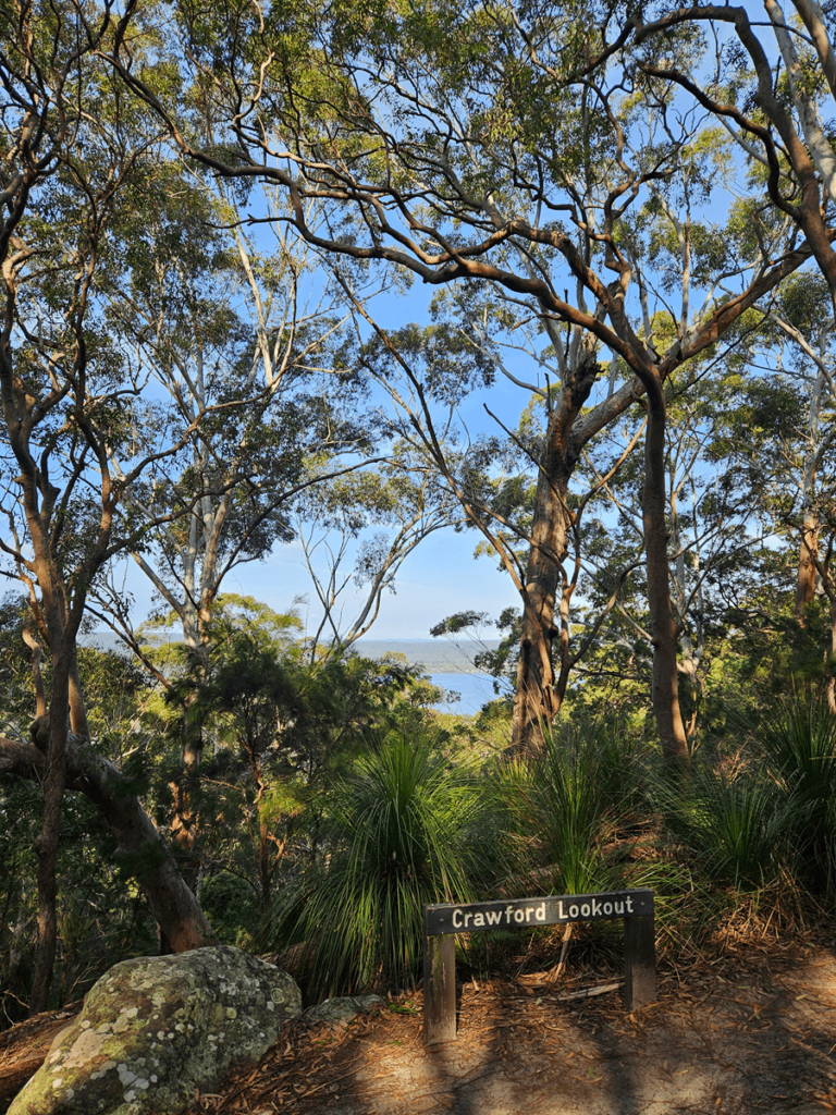 Bushwalk Glassons Trail in Kincumba Mountain Reserve