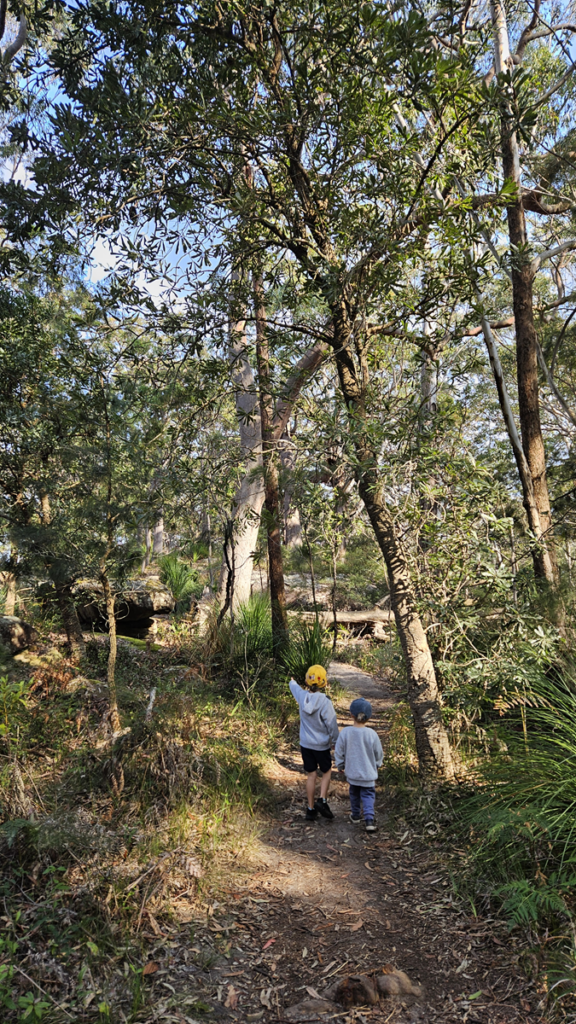 Glassons Trail Kincumba Mountain