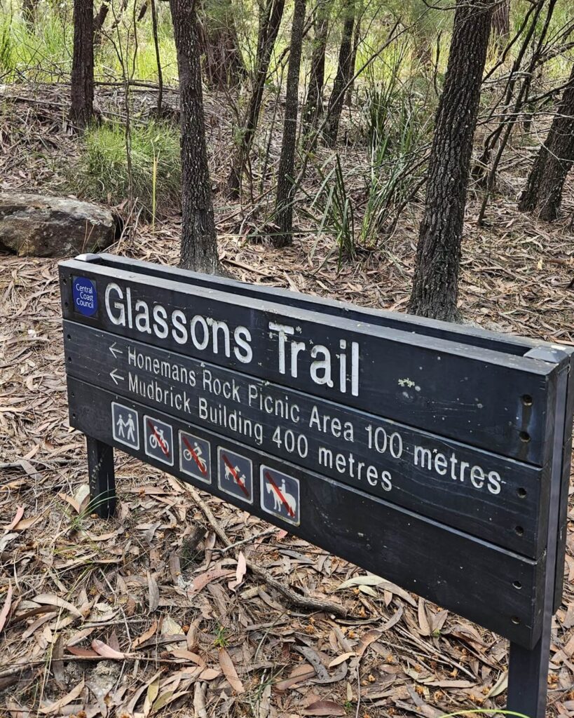 Glassons Trail Kincumba Mountain bushwalk 