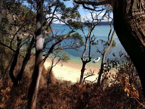 Lobster Beach Central Coast Lookout 