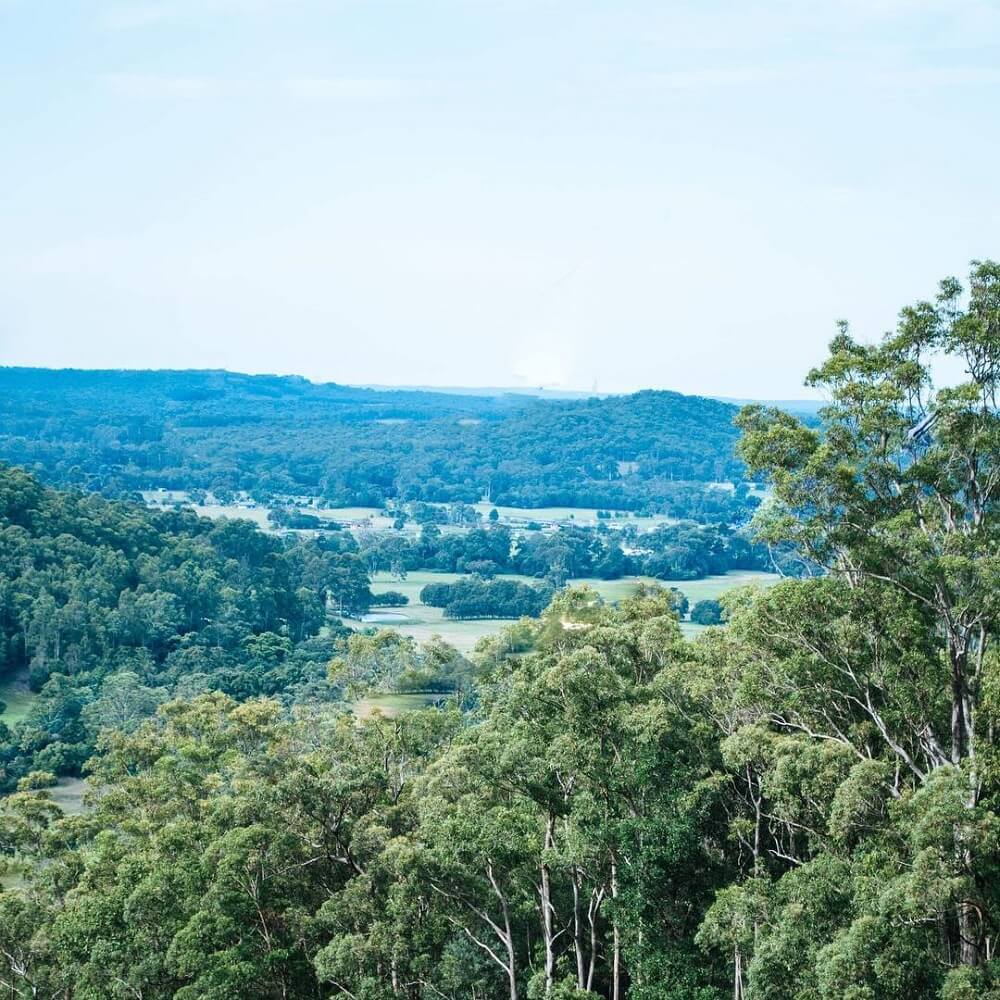 Jilliby lookout jilliby state conservation area central coast