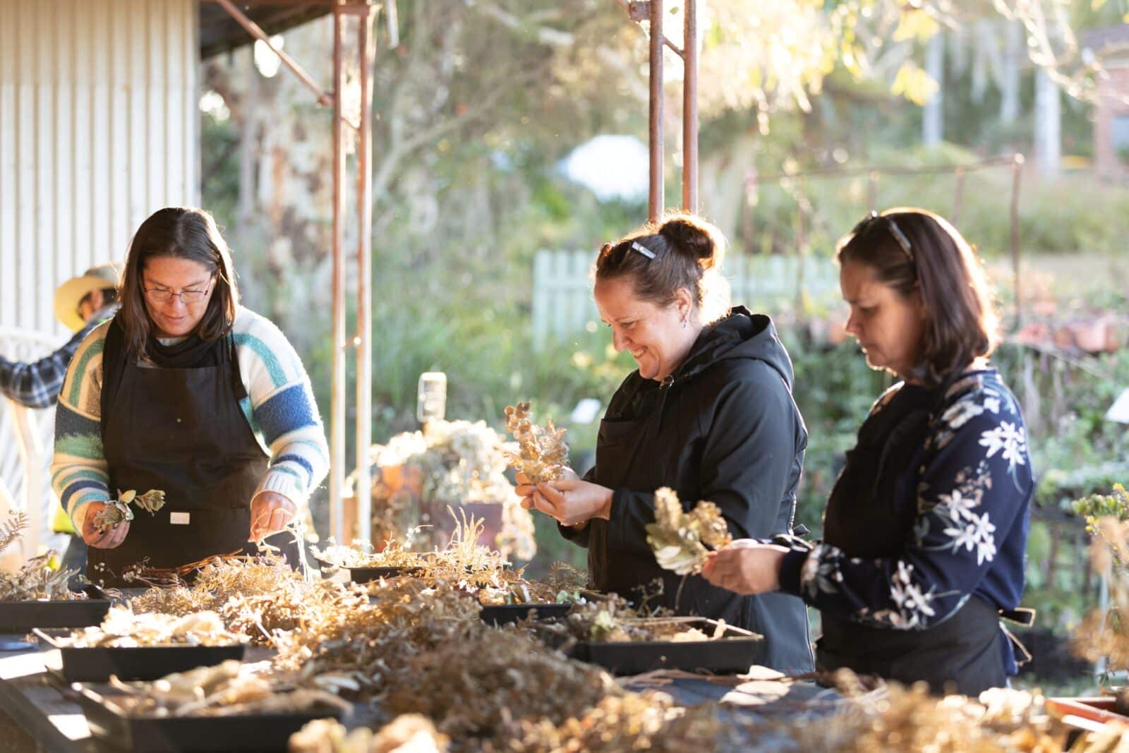 Hands-on workshops at Coachwood Nursery, June long weekend on the Central Coast