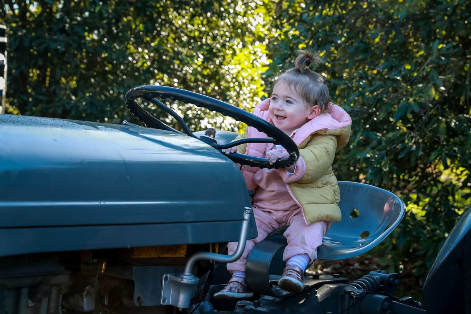 Harvest Festival is full of family-friendly things to do on the Central Coast