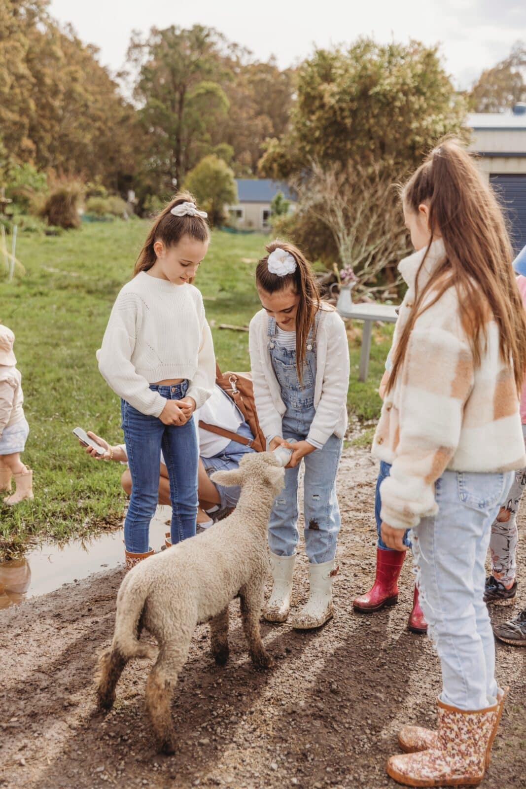 Visitors feeding baby animals at The Giving Farm, Jilliby, during Central Coast Harvest Festival