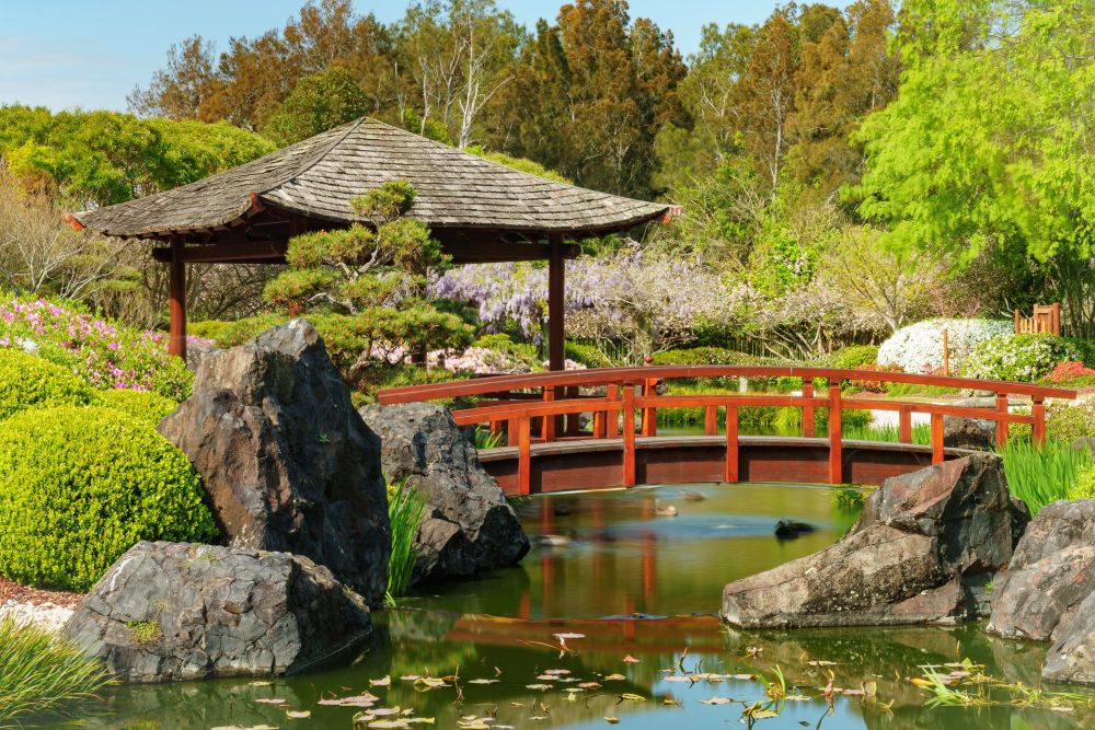 Japanese gardens central coast gosford regional gallery