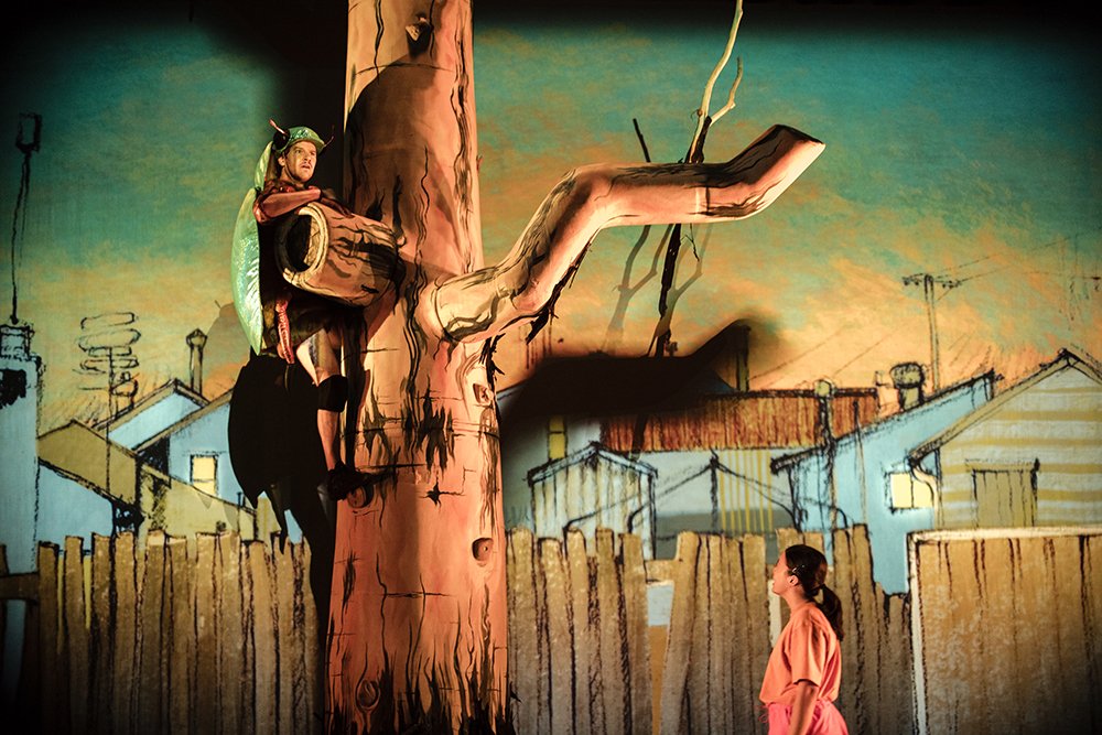 Beetle is coming to the Art House Wyong in 2025