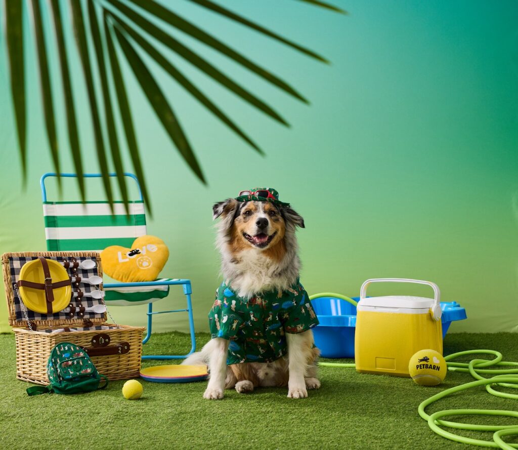 Petbarn Erina Central Coast dog owners