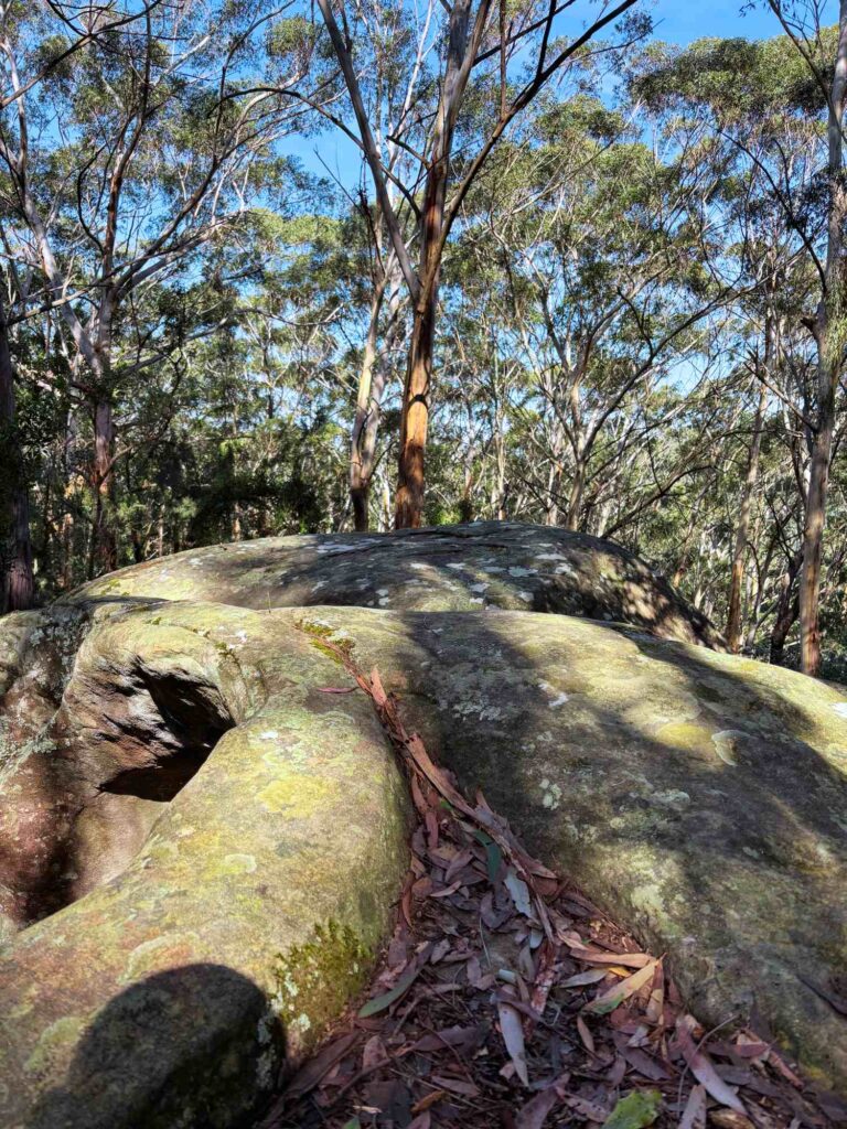 Toomeys Trail CennyCoastWalks Dana Chantler Coasties Mag