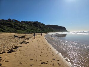 Paul Hills summer on the central coast