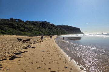 How the Central Coast Turns a Summer Holiday into Your Forever Home