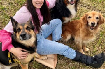 Meet the Coasties making dog sitting personal