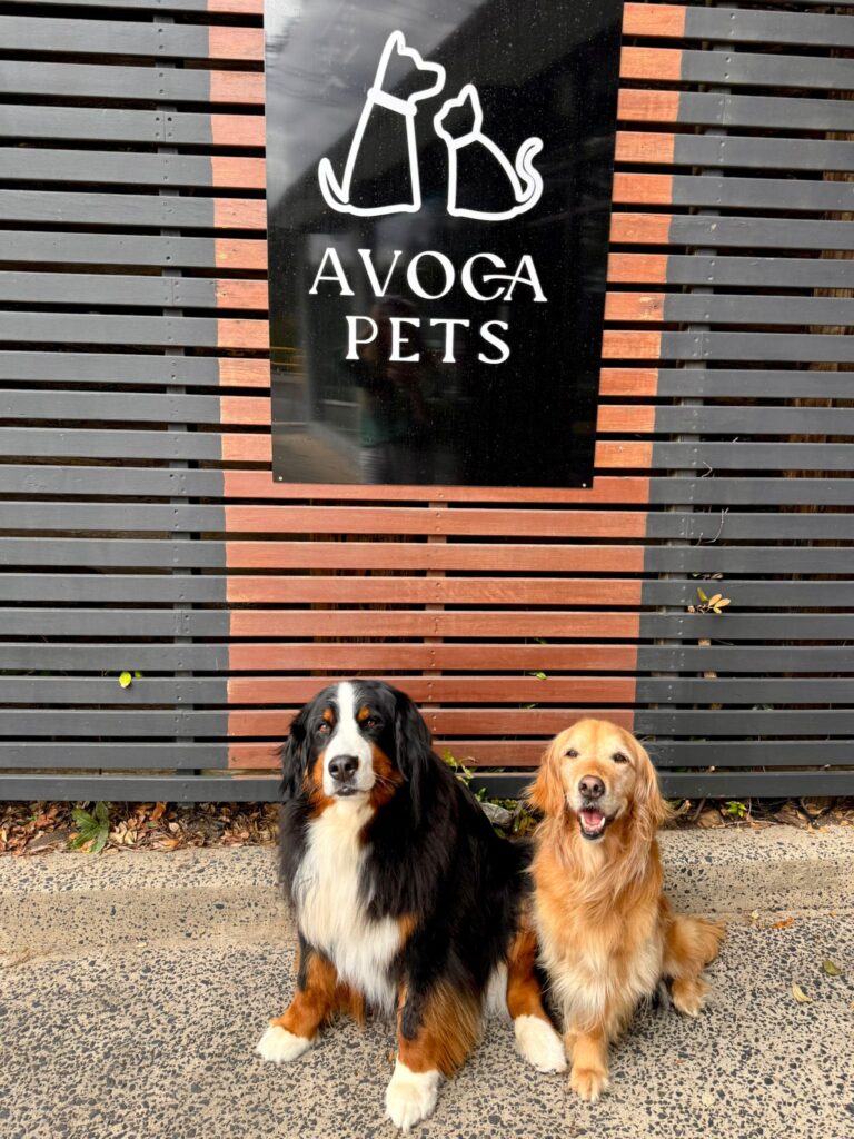 Avoca Pets Pet Store Avoca
